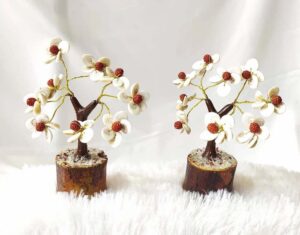 Gomati Chakra and Rudraksha Tree