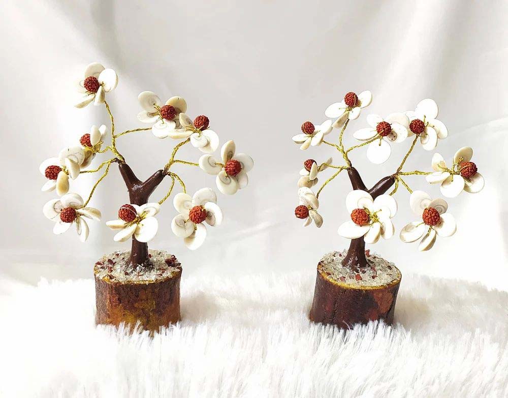 Gomati Chakra and Rudraksha Tree