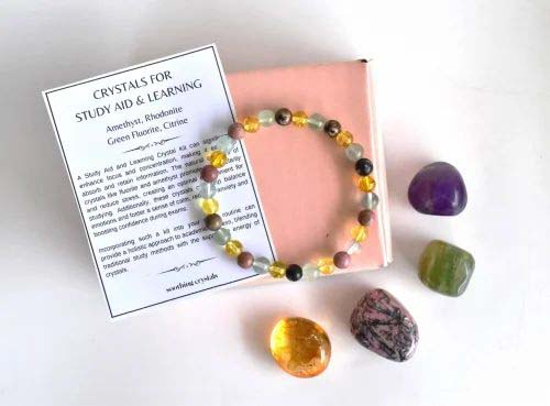 Study Aid and Learning Kit