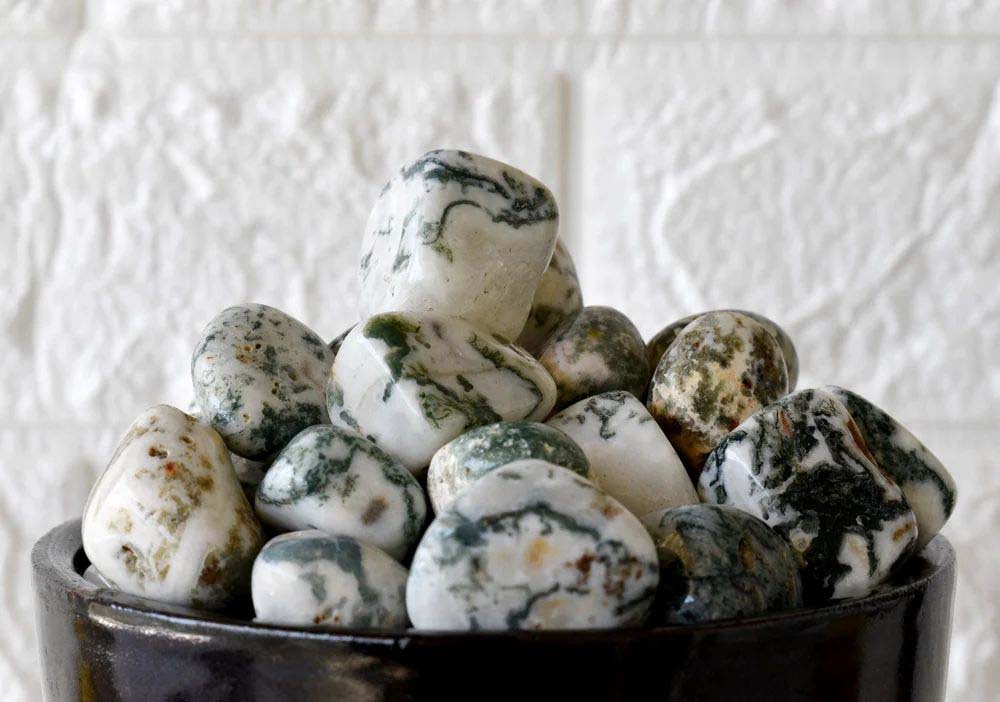 Tree Agate Tumbled
